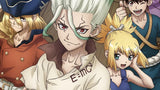 Dr. Stone