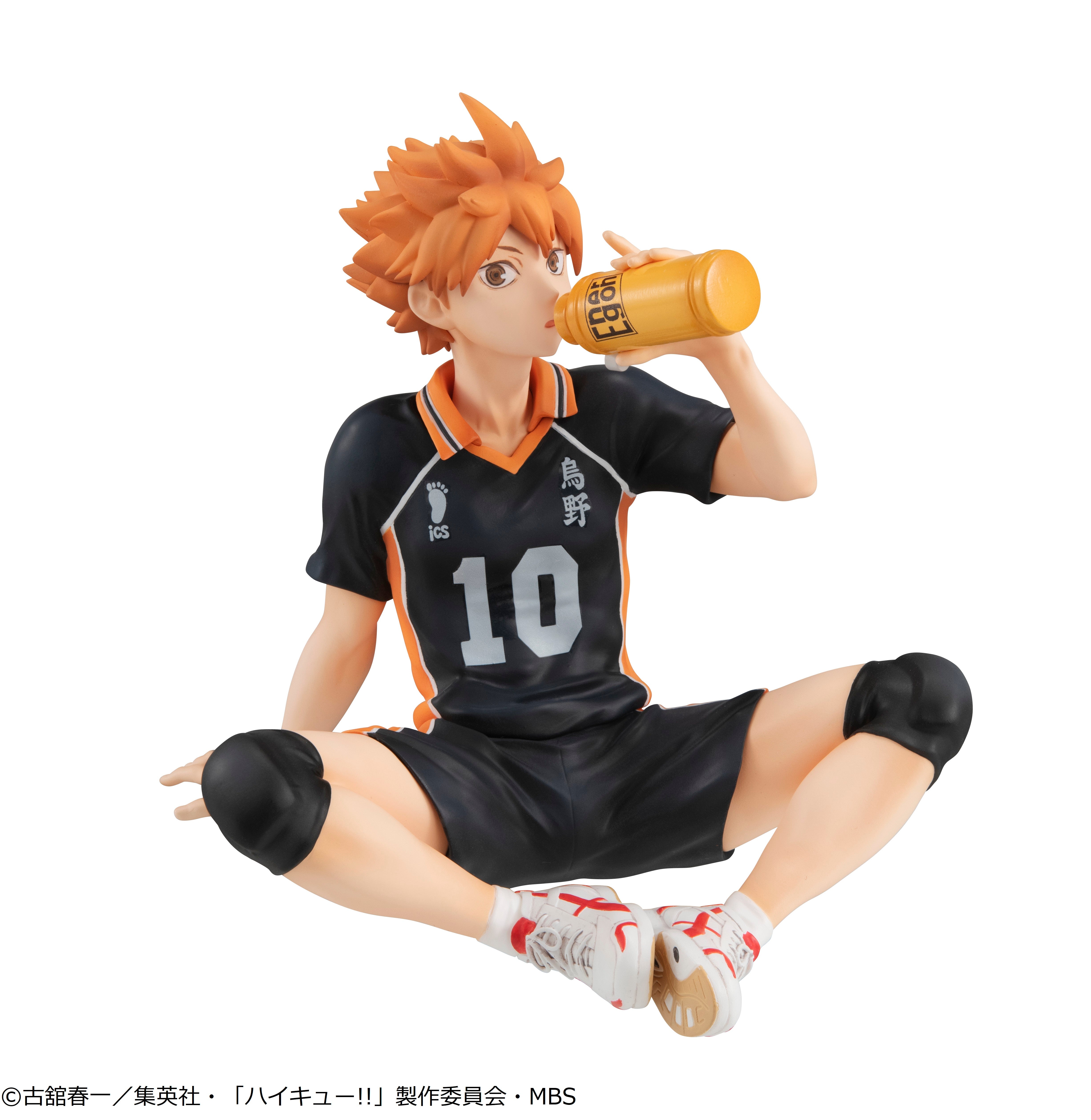 G.E.M. Haikyuu!! - Shoyo Hinata (Tenohira) -