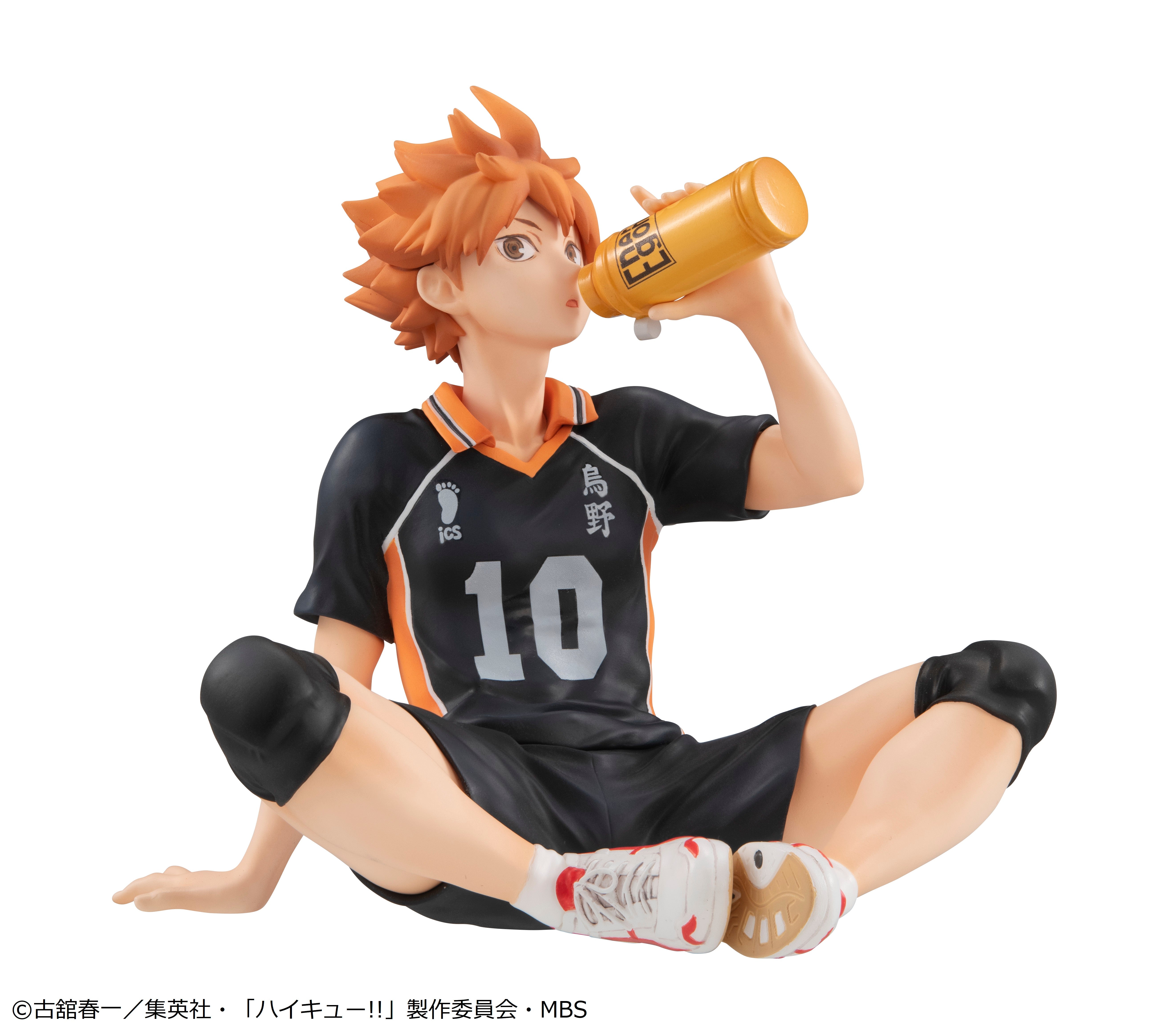 [VIP] G.E.M. Haikyuu!! - Shoyo Hinata (Tenohira) -