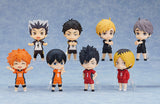 PRE ORDER Nendoroid Surprise Haikyu!! Nationals Arc(re-run)