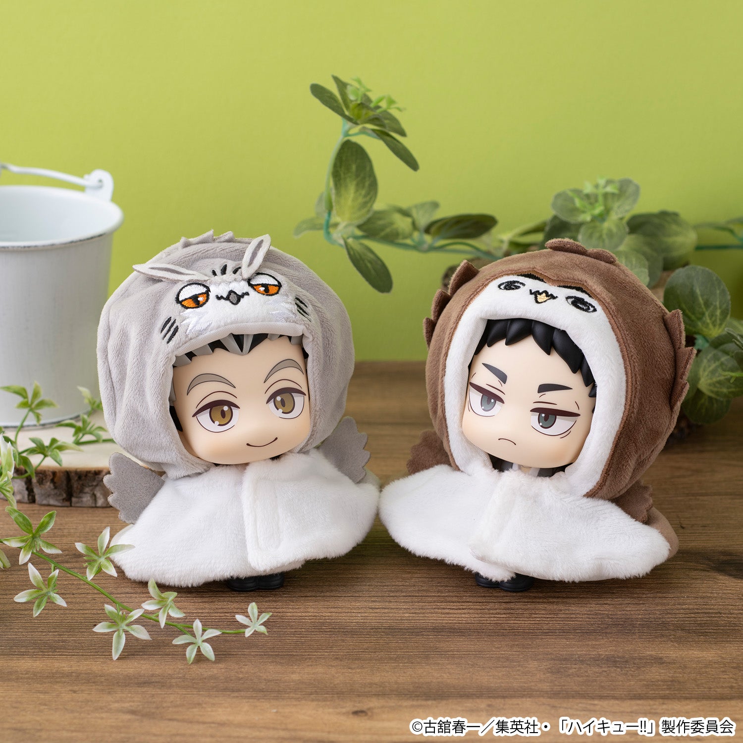 PRE ORDER [VIP] Lookup cape Haikyu!! - Bokuto Owl