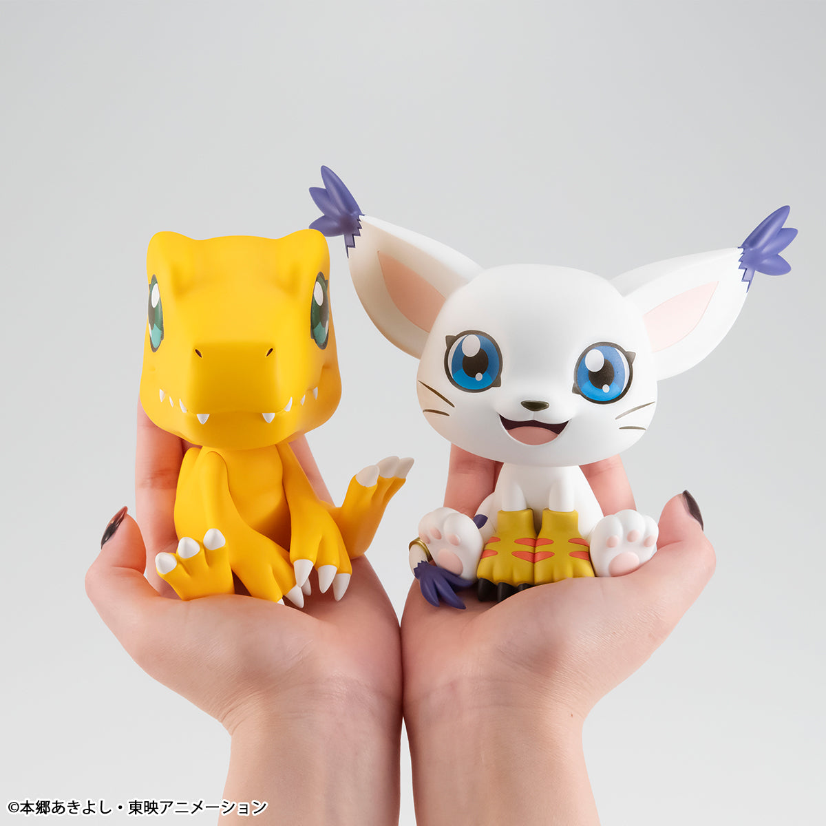 PRE ORDER Lookup Digimon Adventure - Agumon