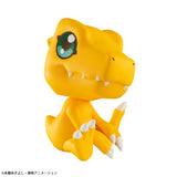 PRE ORDER Lookup Digimon Adventure - Agumon
