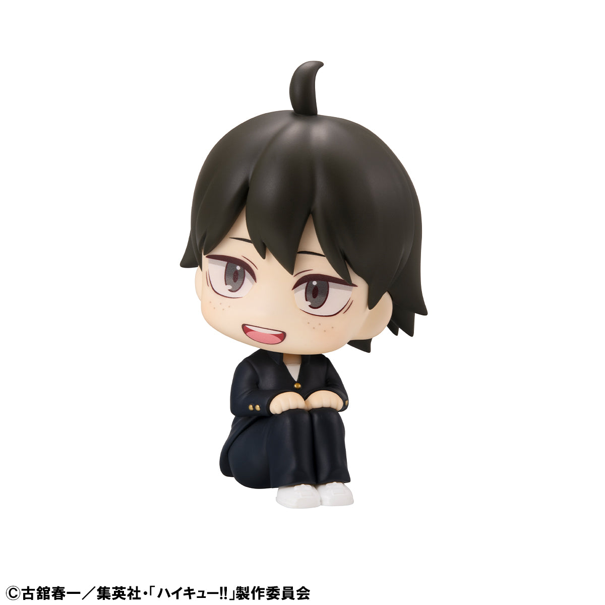 PRE ORDER Lookup Haikyu!! - Tadashi Yamaguchi