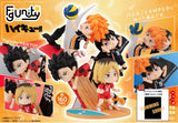 PRE ORDER Figunity Haikyuu!! [with Gift]