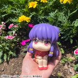 PRE ORDER Lookup TV Anime Ranma 1/2  - Shampoo