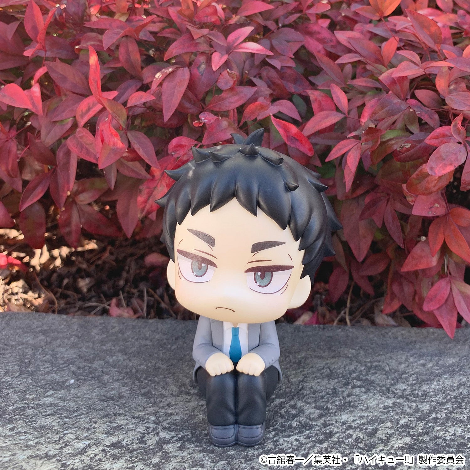 PRE ORDER [VIP] Lookup Haikyu!! - Keiji Akaashi (Repeat)