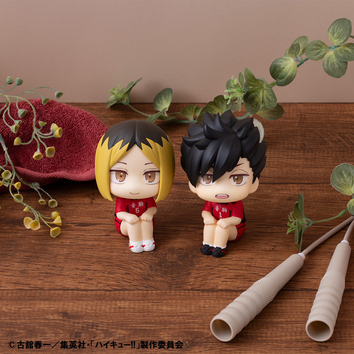 Lookup Haikyuu!! Kenma Kozume & Tetsuroo Kuroo set [with GIFT]