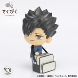 PRE ORDER Tekupiku Haikyuu!! - Tetsuro Kuroo