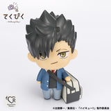 PRE ORDER Tekupiku Haikyuu!! - Tetsuro Kuroo